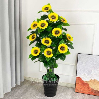 Cây hoa hướng dương giả